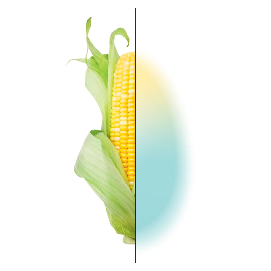 PP