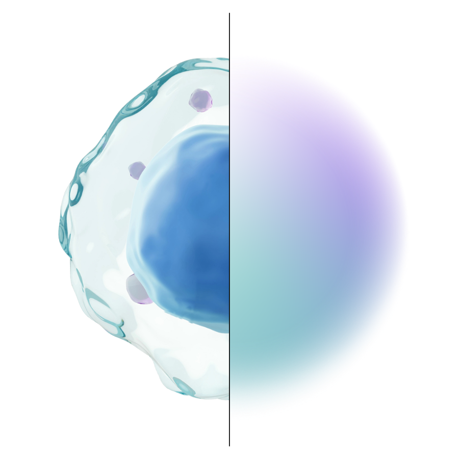 SII