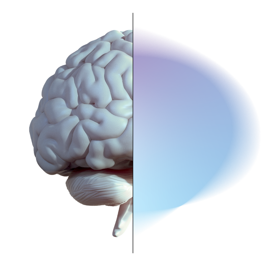 SNI
