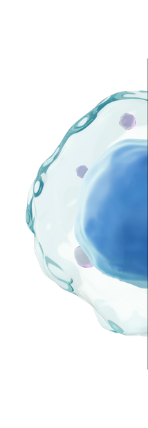 SII
