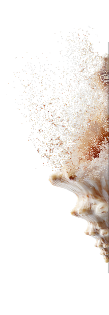 MA (1)