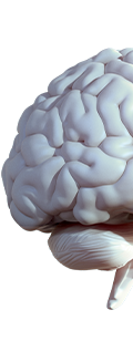 ARIA Neuralinterfaces Image